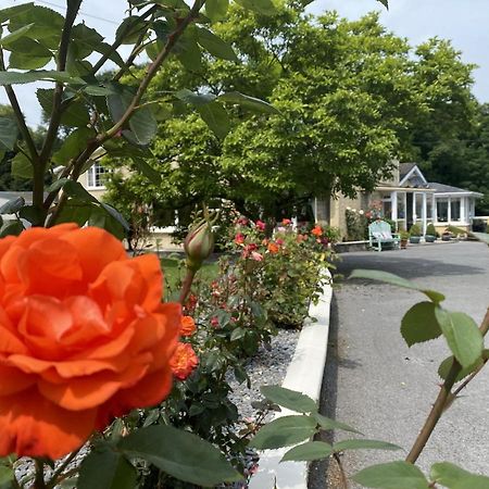 Copperfield House Bed & Breakfast Cashel  Bagian luar foto