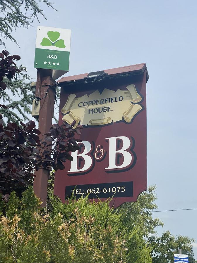 Copperfield House Bed & Breakfast Cashel  Bagian luar foto